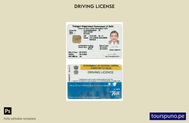 Plantilla de licencia de conducir de India (Delhi) lista para imprimir